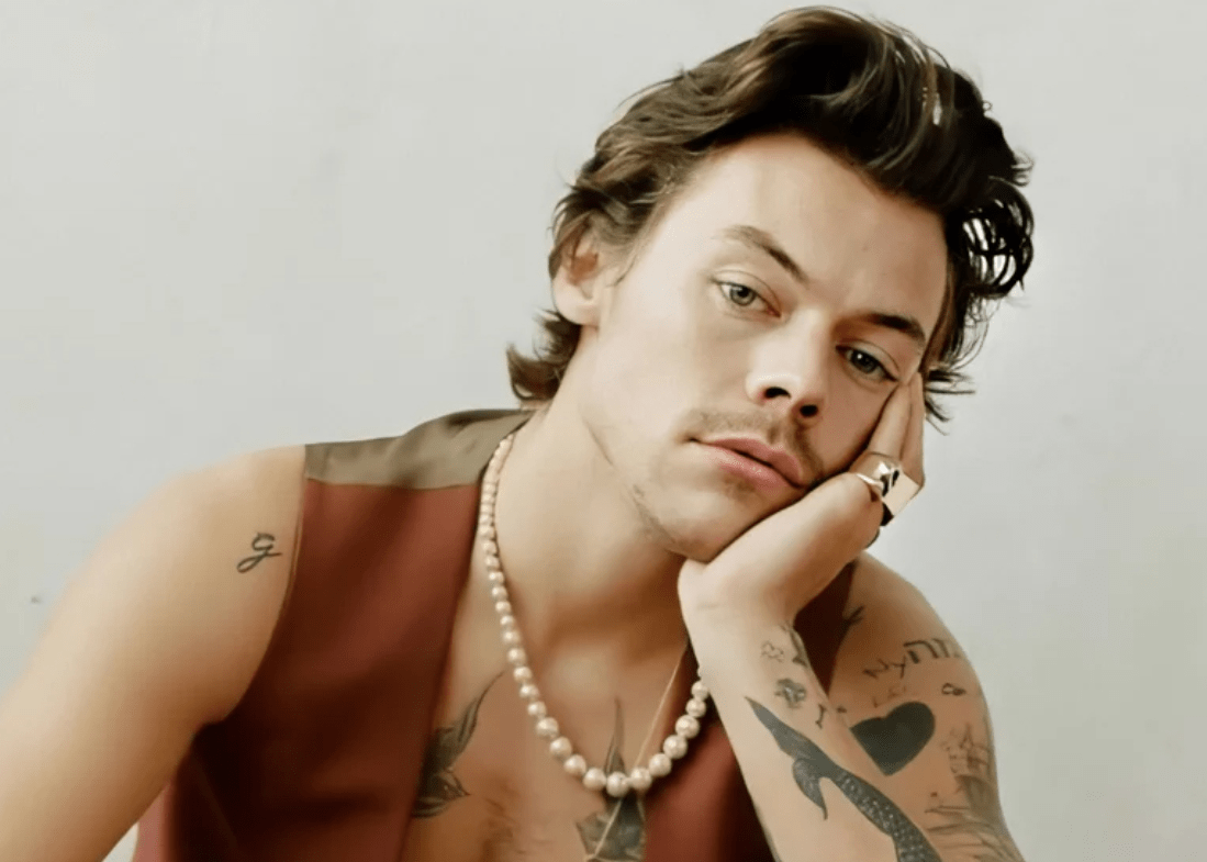 Harry Styles sobre se aventurar no cinema: “Eu não sei o que eu estou fazendo”