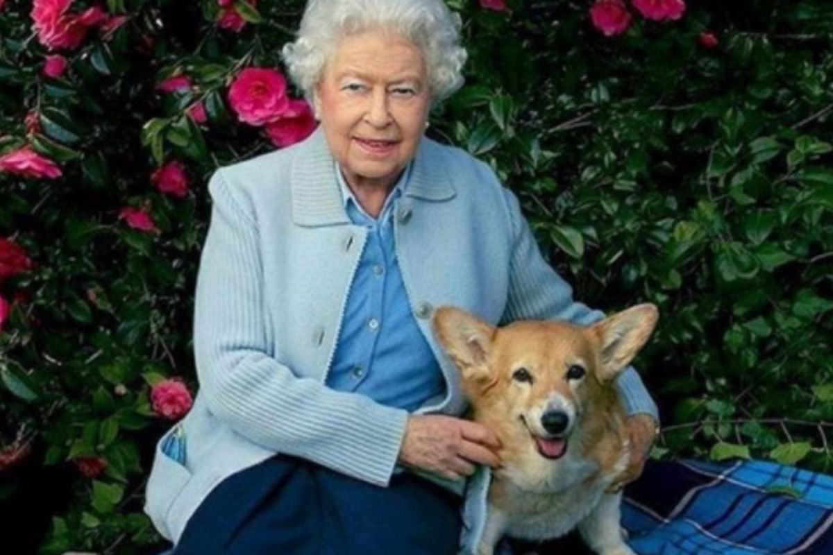 Rainha Elizabeth e seu Corgi (Reprodução/Instagram)