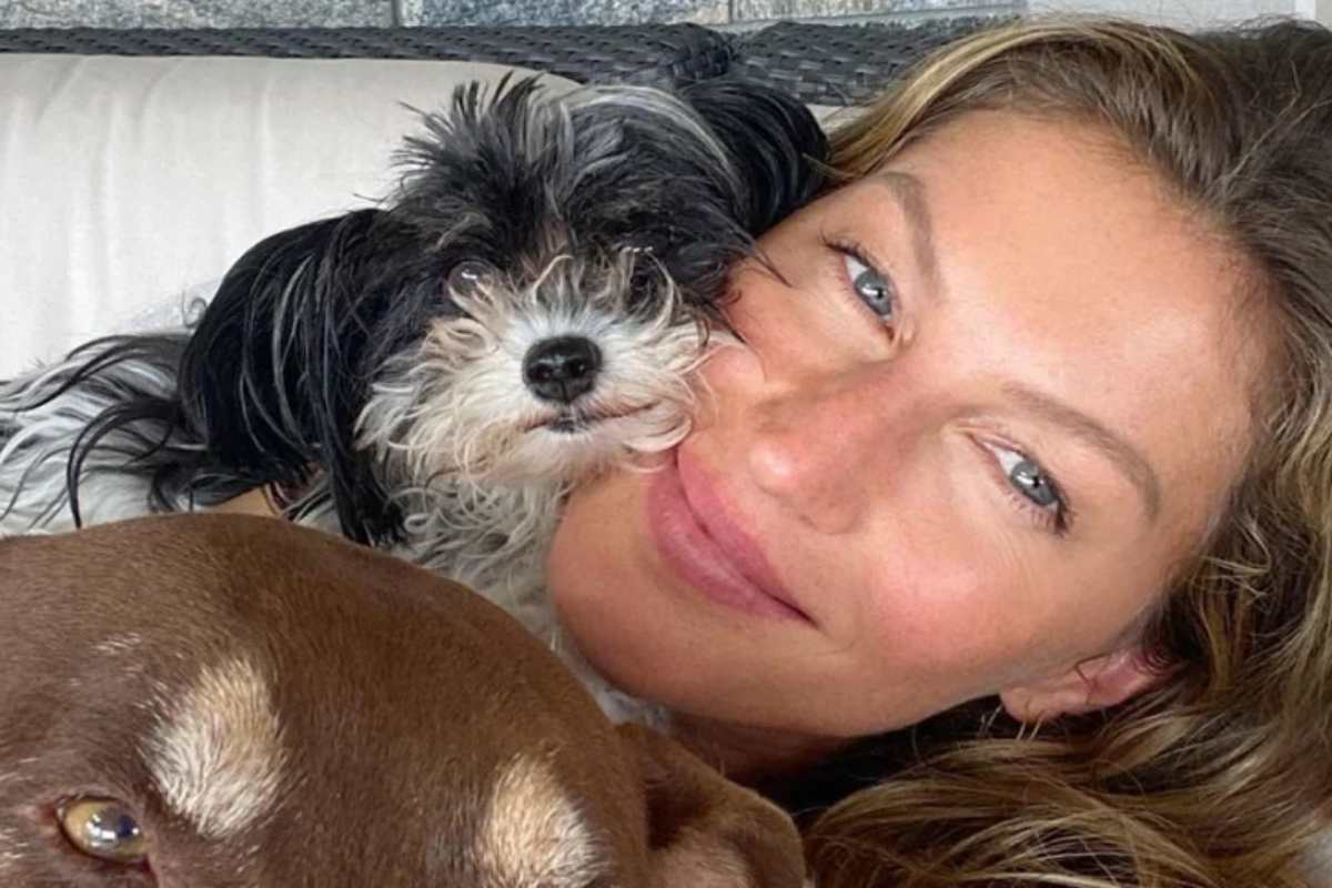 Gisele Bündchen com cachorrinhos