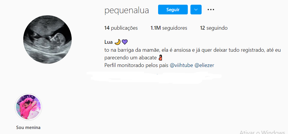 perfil-lua-1 perfil filha viih tube