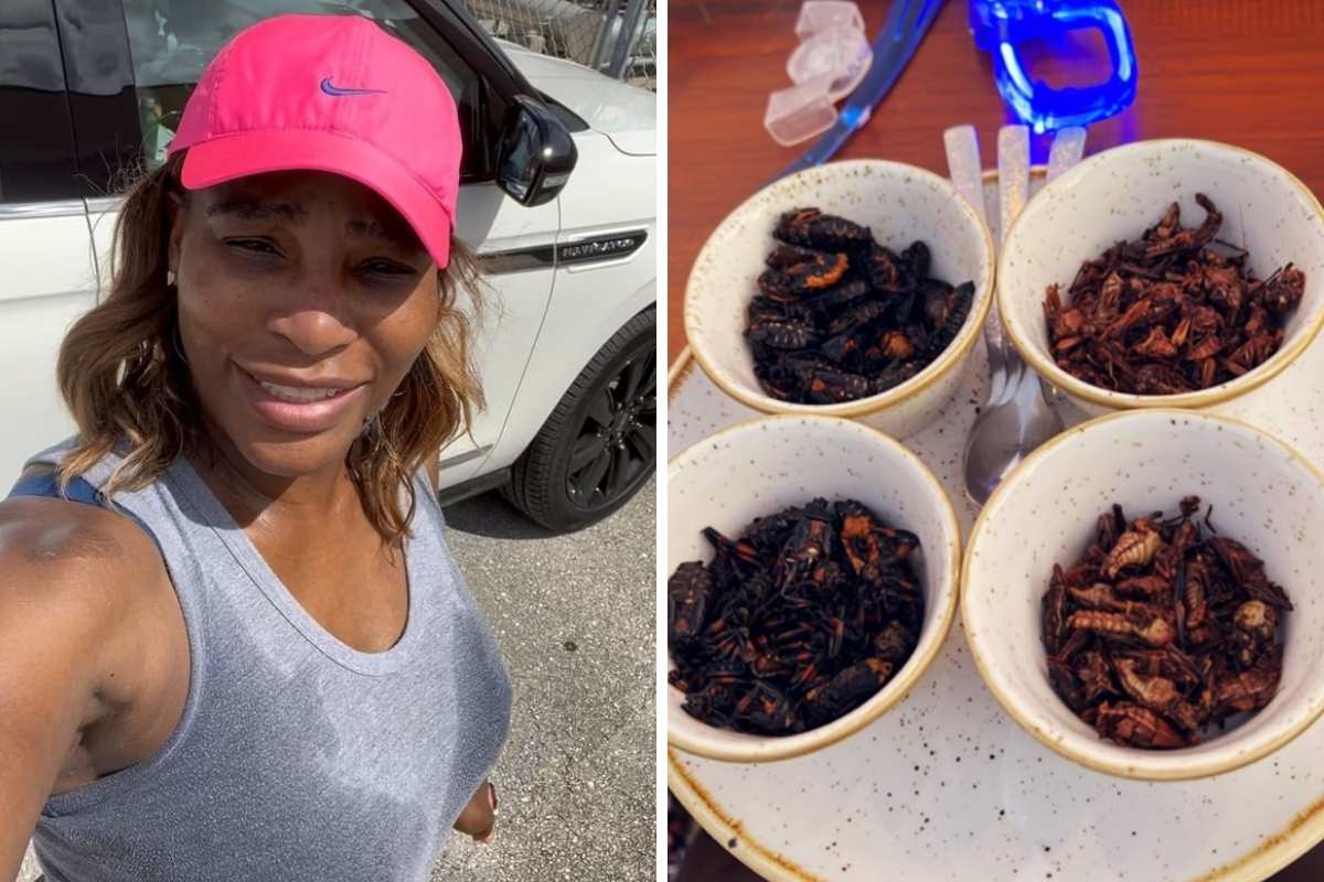 Serena Williams mostra prato com baratas em restaurante