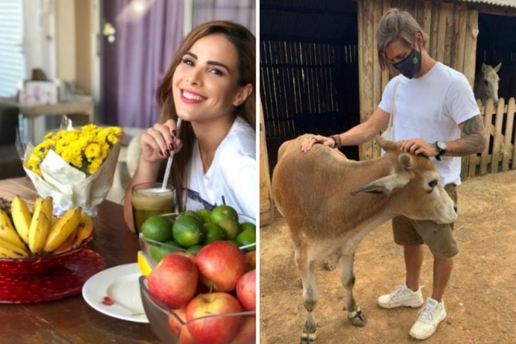 Wanessa estaria seguindo os passos de Dado Dolabella para alcançar o veganismo