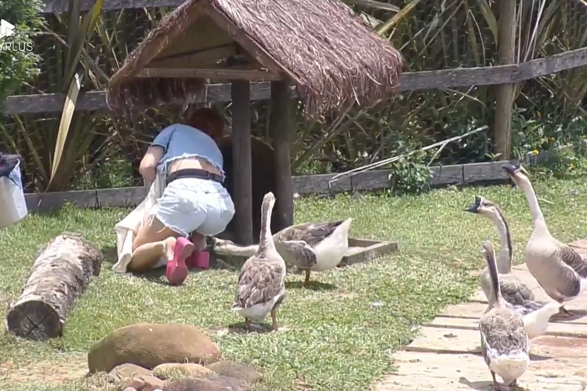 deborah levando mordida de um ganso na bunda