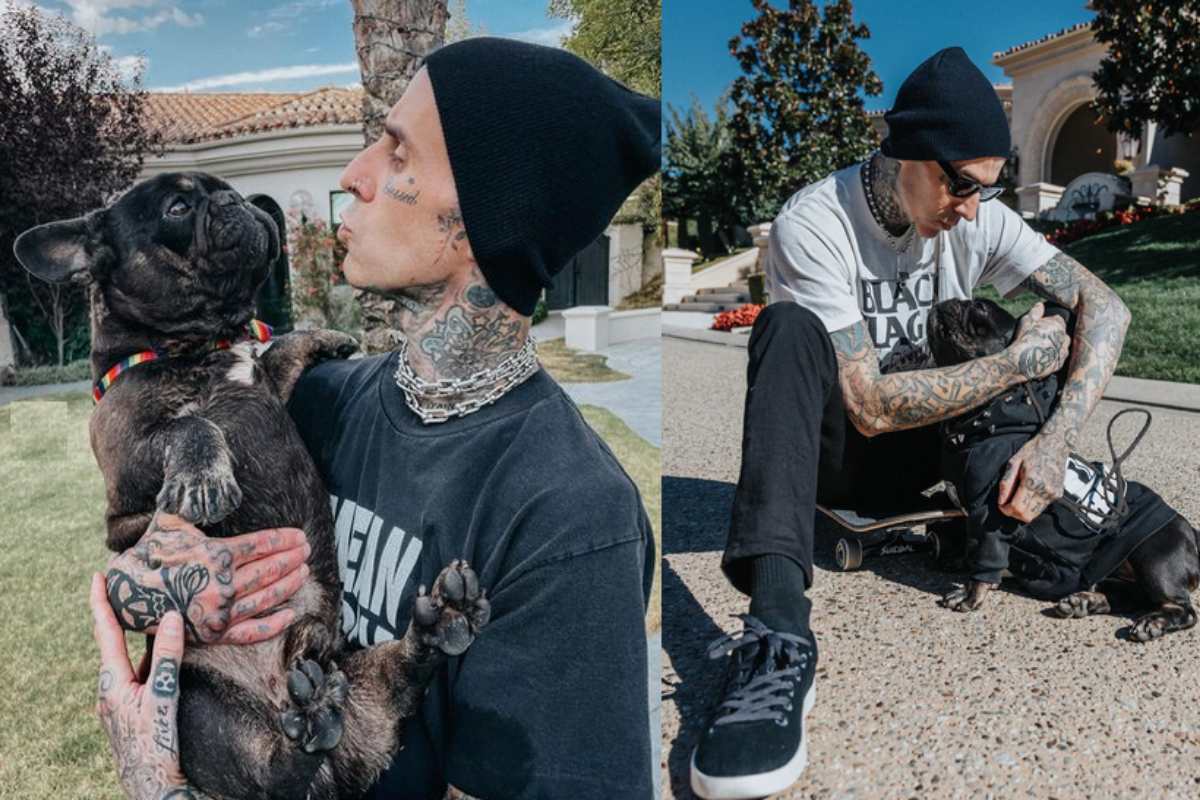 Travis Barker com seu bulldog Blue