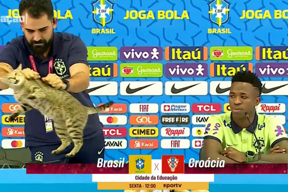 Gato sendo segurado, Vini Jr sentado, de camisa da seleção