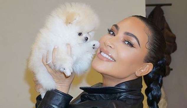 PETA critica video de cachorros de  Kim Kardashian