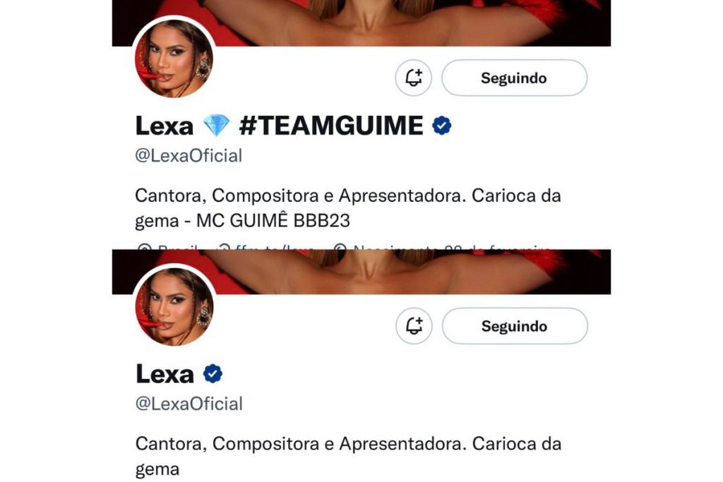 bio do twitter da lexa declarando torcida para guimê