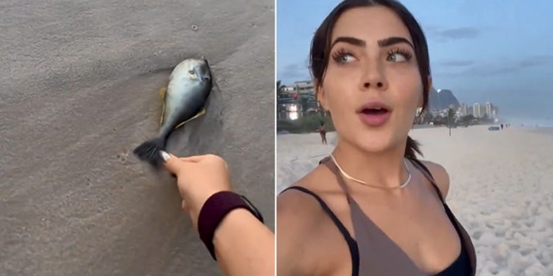 Jade Picon arremessa peixe no mar para salvá-lo; veja vídeo