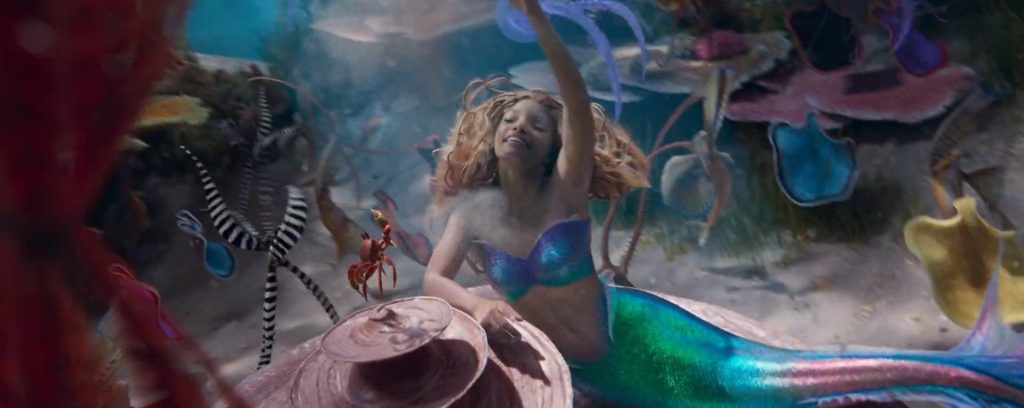 under-the-sea-1024x408-1 Under The Sea
