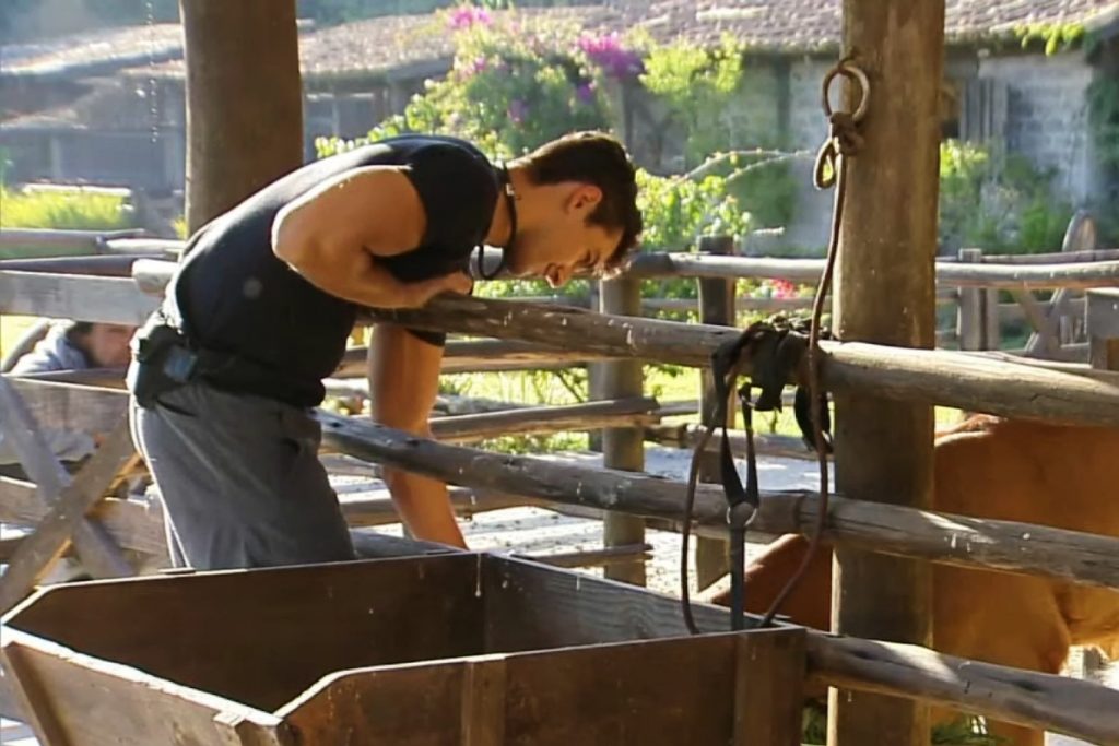 A Fazenda - Henrique Martins cuidando da vaca