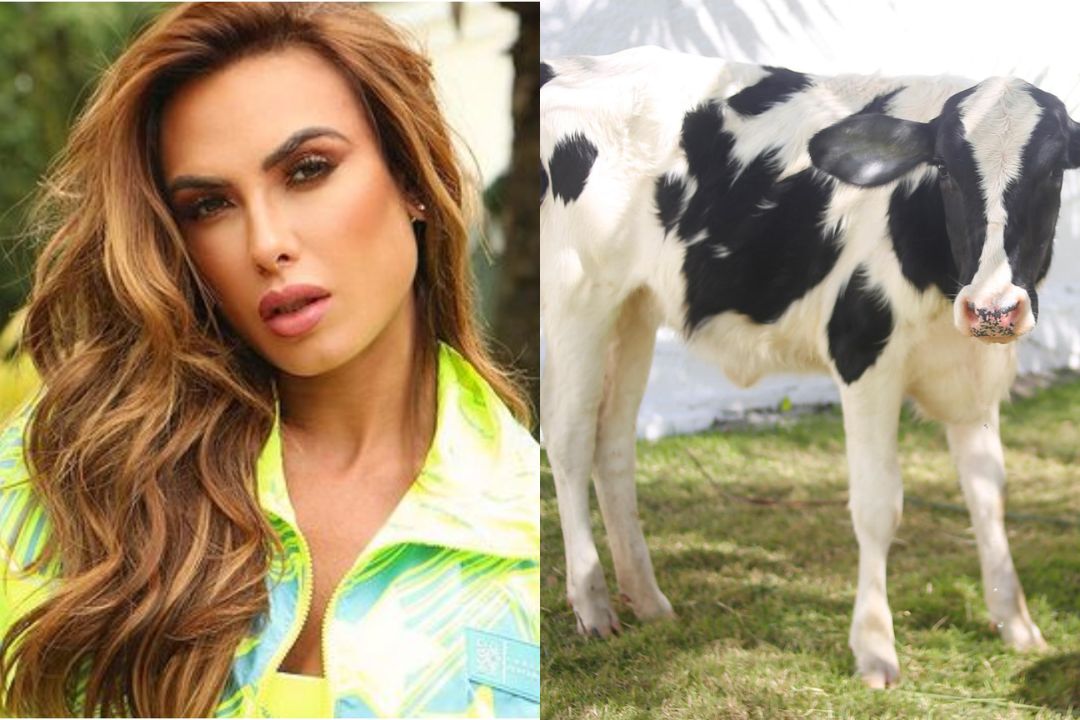 Vaca Anitta dá cabeça em Nicole Bahls e diverte web: “Socorro”