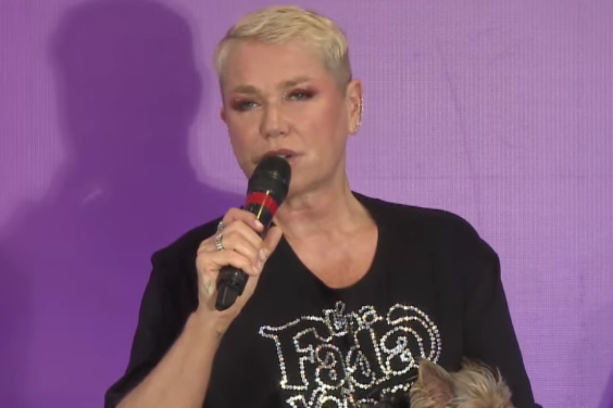 xuxa meneghel na coletiva de imprensa de uma fada veio me visitar