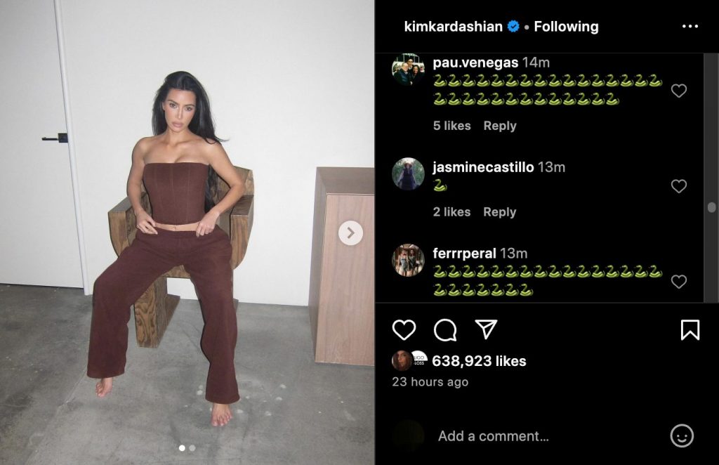 kim-kardashian-comentarios-1024x662-1 Comentários de cobras nas redes sociais de Kim Kardashian