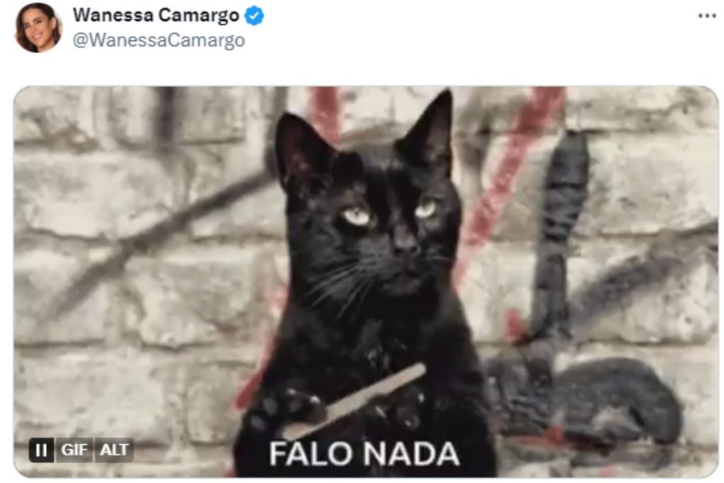 Wanessa Camargo postou um GIF durante a discussão