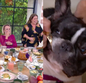 Cachorra de Ana Maria Braga foge com brinco de Tati Machado ao vivo e diverte a web