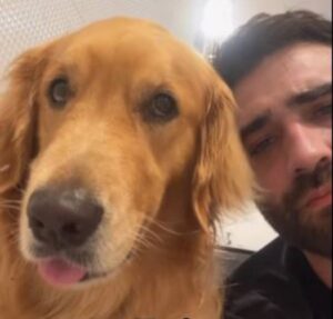 Tutora entrega que cachorrinha na infância fazia muita bagunça e reação de pet viraliza