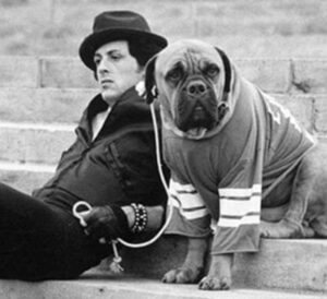 12 fatos que você provavelmente não sabia sobre Sylvester Stallone!