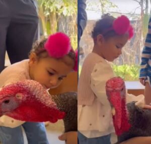 Bruna Biancardi mostra vídeo fofo de Mavie conhecendo animal inusitado e encanta web