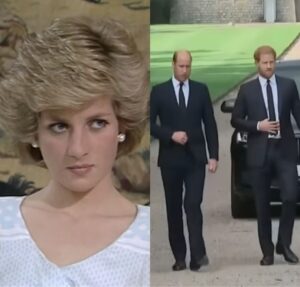 Segundo biógrafo, Diana não ficaria satisfeita com afastamento entre Príncipe Harry e Príncipe William