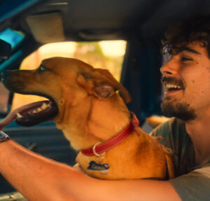 Vem aí! Netflix lança trailer emocionante do filme Caramelo, estrelado por Rafael Vitti e o cãozinho Amendoim