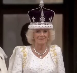 Rainha Camilla não estaria satisfeita com reaproximação de Príncipe Harry com o pai, Rei Charles III