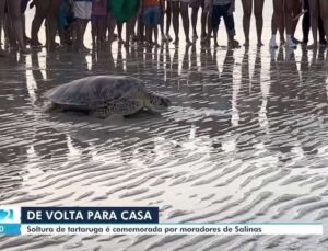 Soltura de tartaruga é comemorada por moradores de Salinas