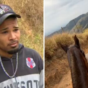 Homem e cavalos na estradas de terra