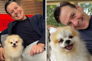 Celso Zucatelli lamenta morte do cachorro Paçoca: ‘Descansou’