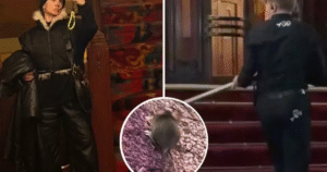 Carolina Dieckmmann se desespera com rato dentro de cinema: ‘Meti o pé’