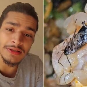 Tales Ordakji encontra barata viva na comida de restaurante