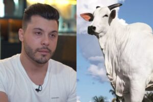 Murilo Huff justifica a compra de vaca de R$ 54 milhões
