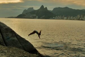 Rua do Senado, no Centro do Rio de Janeiro, é eleita a mais ‘cool’ do mundo
