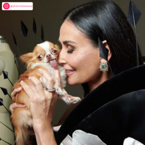 Alerta fofura! Veja os momentos estrela de Pilaf, a cachorrinha de Demi Moore