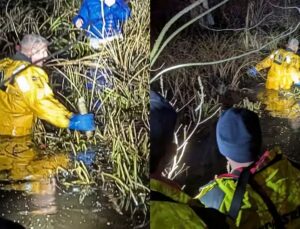 Aplicativo ajuda resgatar mulher presa até a cintura em pântano; veja VÍDEO