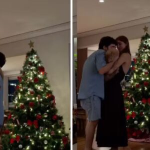 Sasha e João montam árvore de Natal