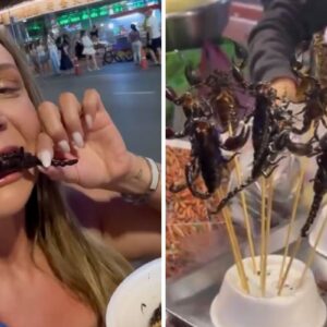 Carla Perez e Xanddy na Tailândia