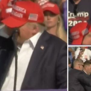 Donald Trump é atingido por tiro na orelha