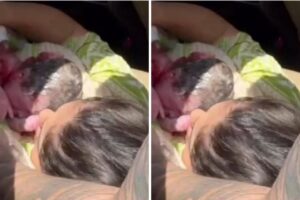 Mulher de Jottapê da à luz dentro do carro