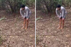 Luan Santana encara uma sucuri