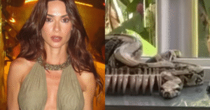 Desespero! Thaila Ayala encontra cobra dentro de casa e chama os bombeiros
