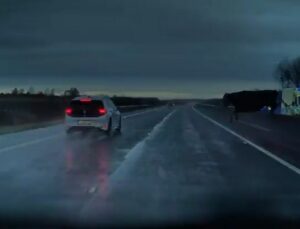 Vaca invade rodovia e passa no meio dos carros em horário de pico; veja vídeo