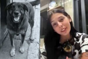 Ana Castela fica indignada após morte cruel: ‘Sem coração’