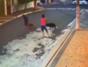 Criança tem o couro cabeludo arrancado ao ser atacada por pit bulls; VEJA VÍDEO