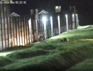 Presos fazem buraco em parede e tentam fugir de complexo; VEJA VÍDEO