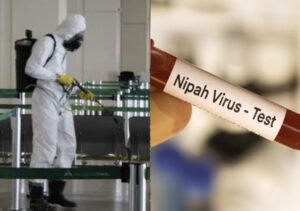 Alerta: Ministério da Saúde revela qual o risco do vírus Nipah no Brasil. Veja agora!
