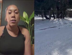 Mulher morre atropelada durante passeio de trenó em meio ao frio extremo