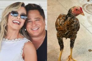 Poliana Rocha tem problema após ganhar galinha no Natal e toma decisão: ‘Não para…’