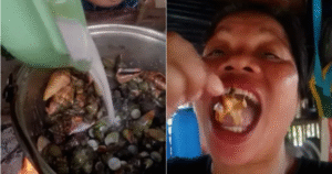 Influenciadora é morta após comer ‘caranguejo do diabo’