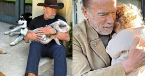 Arnold Schwarzenegger revela que dá a mesma comida para seus animais e netas