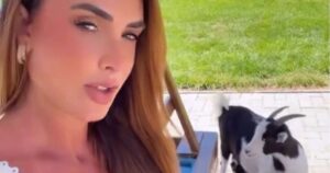 Nicole Bahls descobre que cabrito ‘Leo Dias’ é fêmea e mãe